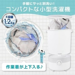 小型洗濯機バケツランドリー2
の画像