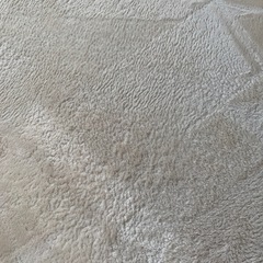 【格安】昭和西川　極厚フランネルラグ　アイボリーの画像