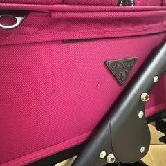エアバギー ドッグ ペットカートの画像