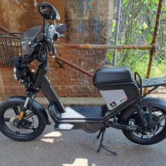 GOCCIA GEV600 電動バイク 実働車両　大阪の画像