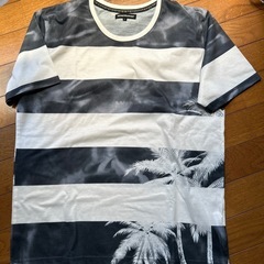 Tシャツ　3枚
の画像