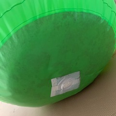 ワニ　サンドバッグの画像
