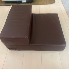 ドッグステップの画像
