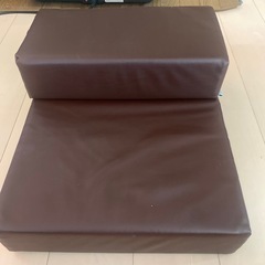 ドッグステップの画像