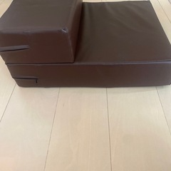 ドッグステップの画像