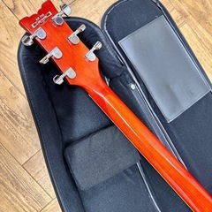 アイバニーズ AR250 Ibanezの画像
