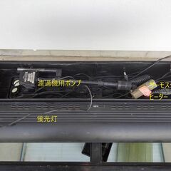 90cmの大型水槽セットですの画像