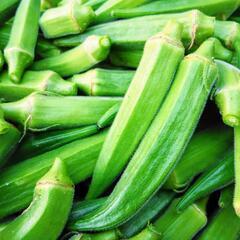 本日お渡し❗️自家製角オクラ500g🌱の画像