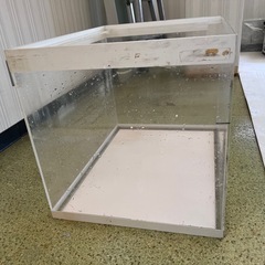 決まりました！の画像