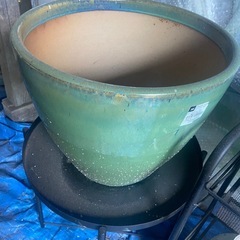 植木鉢　大小様々の画像