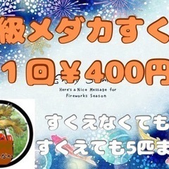 ７月26日、27日上溝祭りめだかすくいの画像