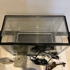 決定致しました！水槽セット　お譲り致します　の画像