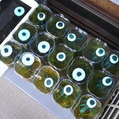 高級メダカ全８種類のミックス稚魚　おもしろメダカ達の赤ちゃん！１つ800円で販売します♪説明欄をお読み下さいm(__)mの画像
