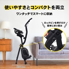 加圧式エアロバイクSTEADYの画像