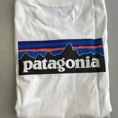 新品patagoniaTシャツの画像