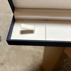 ジュエリーツツミのネックレスケース のみの画像