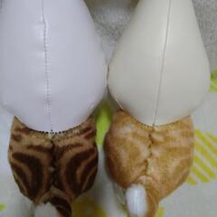 mofusandぬいぐるみの画像