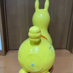 ロディの画像