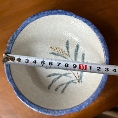 中深皿　2種類の画像