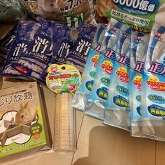うさぎ　ちんちら　牧草、かじり木などの画像