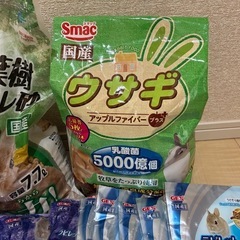 うさぎ　ちんちら　牧草、かじり木などの画像