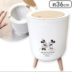 ミッキー&ミニープッシュ式ダストボックス　最終お値下げですの画像