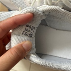 バレーボールシューズ　　の画像
