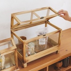 ガラスハウス 温室 観葉植物の画像
