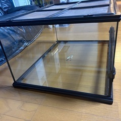 グラステラ6030 値段交渉可能ですの画像