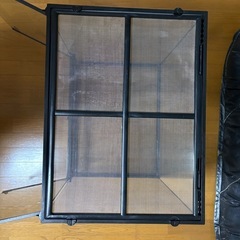 グラステラ6060 値段交渉可能です
の画像