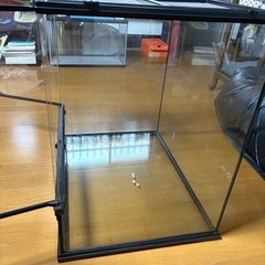 グラステラ6060 値段交渉可能です
の画像