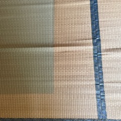 井草　いぐさ　ござ　①の画像