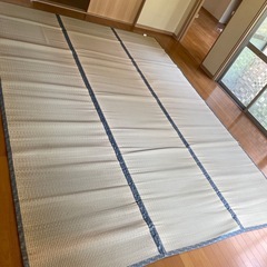 井草　いぐさ　ござ　①の画像