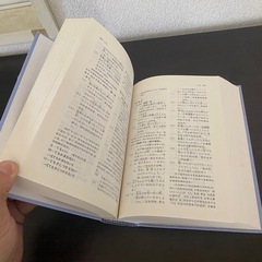 【中国語・JLPT対策 N1 N2】《日本語句型辞典 中文》3000句型の画像
