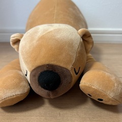 くまのぬいぐるみの画像