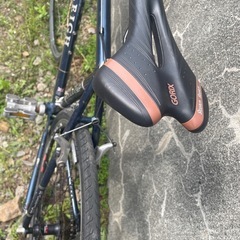 ラレー カールトン 軽メンテ済み乗って帰れますの画像