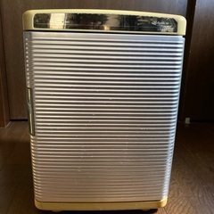 た*ん様 アイリスオーヤマ 洗濯機 6kg 2021年製 ステンレス槽 IAW- アイリスオーヤマ 洗濯機 6kg 2021年製 ステンレス槽 IAW-T602E