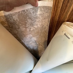 壁紙　クロス　写真の物　浦安引取りの画像