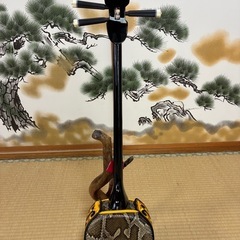 7月23日終了！沖縄三線！新品！貴重！知念大工型！本蛇皮！本張り！【一枚張り】⑪の画像