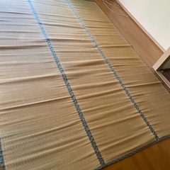井草　いぐさ　ござ②の画像