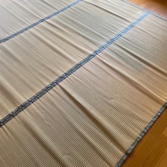 井草　いぐさ　ござ②の画像
