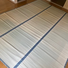 井草　いぐさ　ござ②の画像