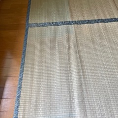井草　いぐさ　ござ②の画像