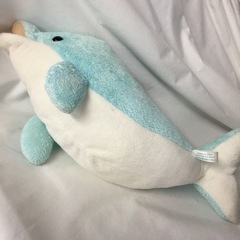 🐬　イルカ　ぬいぐるみ　水色　江ノ島水族館の画像