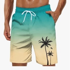 ⭕️新品未使用⭕️メンズ水着、海パン、M〜Lサイズの画像