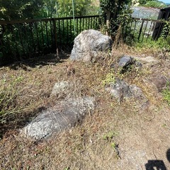 転売OK　日本庭園の高級な京都石　庭石　差し上げますの画像