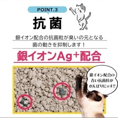 新品　猫砂　30Lの画像
