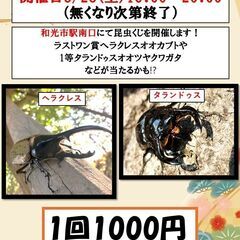 和光市駅南口　昆虫くじ　1回1000円