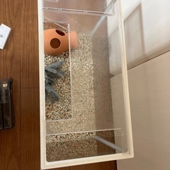 水槽の画像
