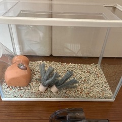 水槽の画像